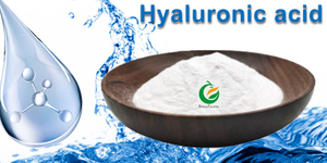 Hyaluronic acid.jpg
